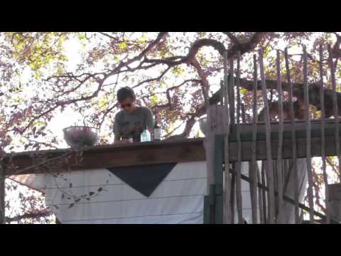 Londolozi Tree House Surprise