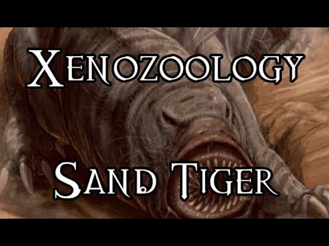 Xenozoology: Sand Tiger - 40K Theories