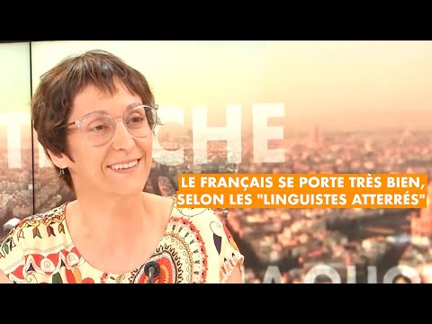 Vido de  Les Linguistes atterres