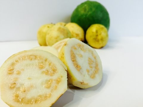 download lagu mp3 mp4 How To Eat Yellow Guava, download lagu How To Eat Yellow Guava gratis, unduh video klip How To Eat Yellow Guava