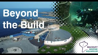 Kelp Seedling Project with SAMS - Beyond the Build Vlogs