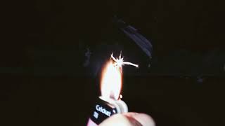 Download lagu Status wa aesthetic rokok || Ngehina FF mp3