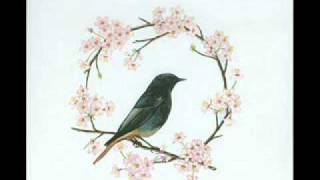 Sieben - Missolonghi Sky