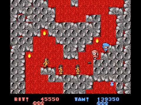 Rod Land Famicom/NES 2 player Netplay 60fps