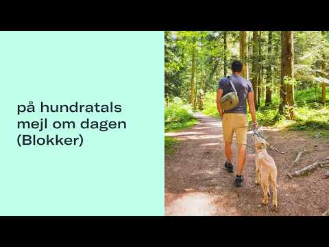 Spara Tid Med Flexport