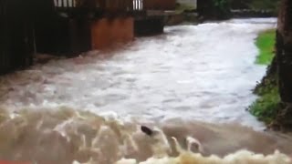 2015 WARNING! (Dream): DISASTERS, Flood, Locust