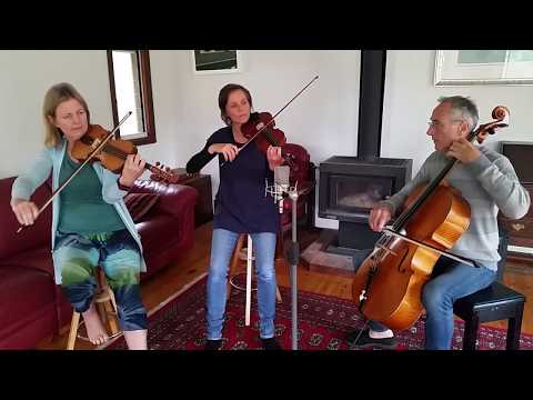 Pilvi and Esko's brudvals with The Dorsal Finns