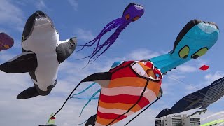 Jason Mraz - Live High