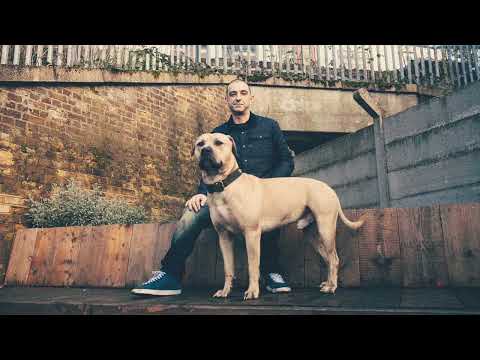 DJ Hype - Drum and Bass Show  Rinse FM - 11/04/2025