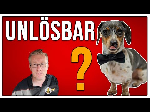 Hoffnungsloser Fall? - Fehleinschätzungen im Hundetraining - TGH 409