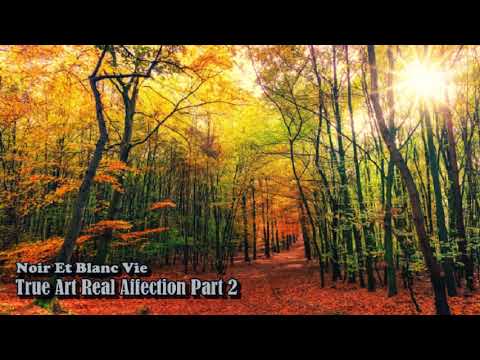 Noir Et Blanc Vie - True Art Real Affection Part 2