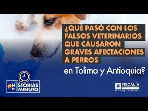 ¿Qué pasó con los falsos veterinarios que causaron afectaciones a perros en Tolima y Antioquia?