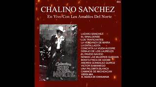Chalino Sanchez En Vivo ft Con Los Amables Del Norte - Lazaro Sanchez