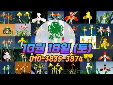 유튜브 썸네일