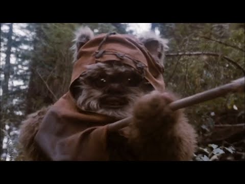 Wicket The Ewok - Star Wars Return Of The Jedi