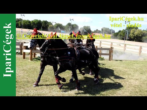 Fogathajtás, ANDRYS Tadeusz (36), POL, 2s, Marathon, 4K, Bp., 2021., sv4K210904-1-1809-220101