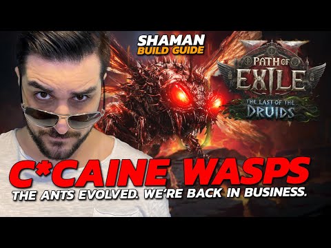 THEY'RE BETTER THAN C*CAINE ANTS!  - PoE 2 Raging Wasps Build Guide