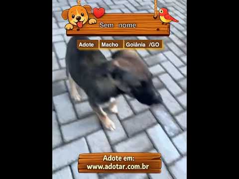 Vídeo de Sem nome 