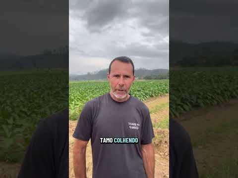 Fizemos uma visita no produtor em Morro Grande SC! Está muito contente com o secador be1