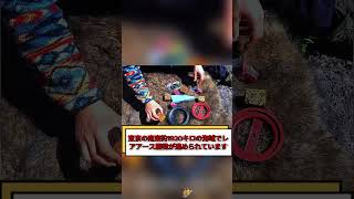 #新NISA  #資産運用  #投資初心者  #日本経済  #株価予想 #注目銘柄  #人気銘柄  #話題株  #急騰株  #爆上げ