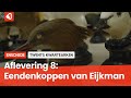 Twents Kwartearken aflevering 8: Eendenkoppen van Eijckman