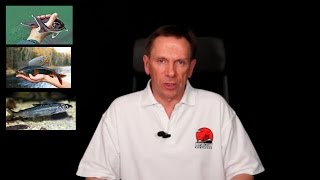 Правила рыбной ловли на плещеевом озере