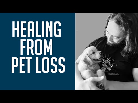 Coping With the Death of Your Pet | Healing From Pet Loss
