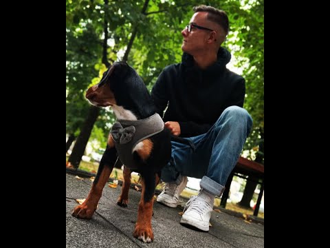 Pawlun - MÓJ PIES ft. U.J.M (prod. Pacific)