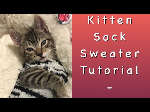 Kitten Sock Sweater Tutorial