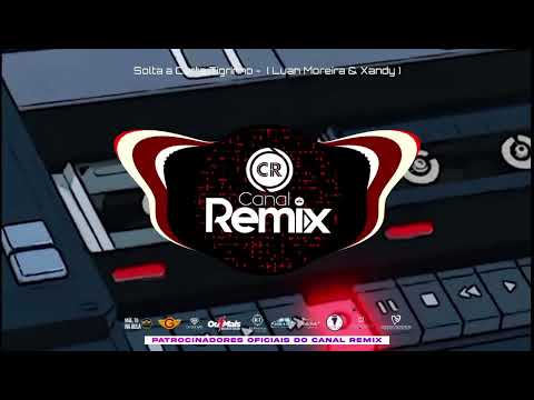 Solta a Carta Tigrinho - (Luan Moreira & Xandy)