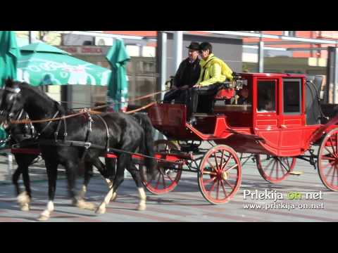 Martinov petek v Ljutomeru 2013