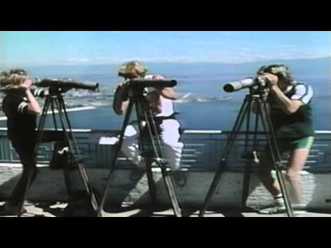 The Police - When The World Is Running Down, You Make The Best Of What's Still Around