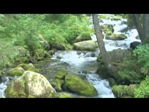 Edward Simoni  - Samotny Pasterz.mpg