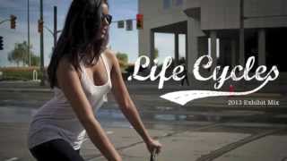 LifeCycles Mix 2013