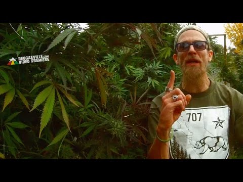 Rocker-T - Tru Ganjaman [Official Video 2017]