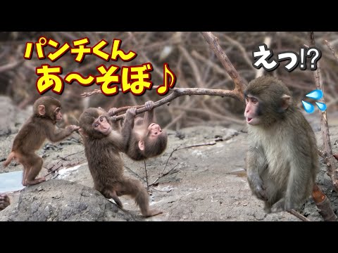 パンチくん」のYahoo!リアルタイム検索 - X（旧Twitter）を