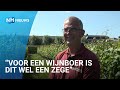 Pieter is blij met droogte en regenwater tekort op zijn wijndomein.