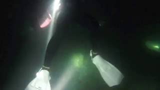 20161029 小琉球夜潛0.5 - 開始下潛