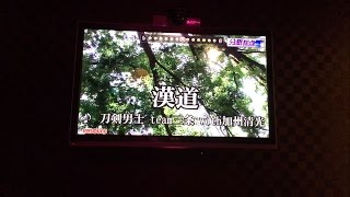 漢道歌ってみた