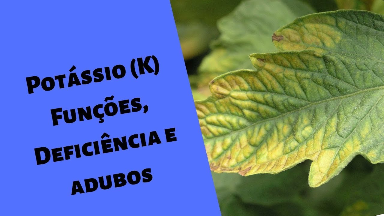 Potássio K, Funções, Sintomas e adubos .I. Série Nutrientes