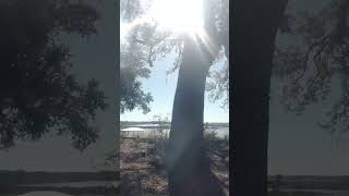 🎵Elvis, "Swing Down  Sweet Chariot!!"🎵"UP, UP, &amp; AWAY," as I, Always Say!!☁️🔔🛸💎🎵💎🛸🔔☁️🛎