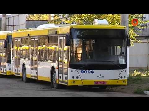 Новые автобусы приехали в Мариуполь