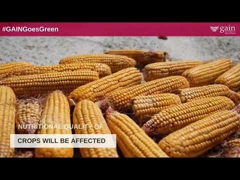 Climate change impacts food systems | #GAINGoesGreen