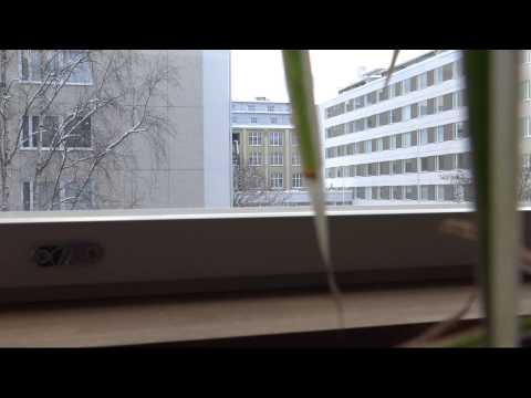 Steelers vs. Koovee B-tytöt