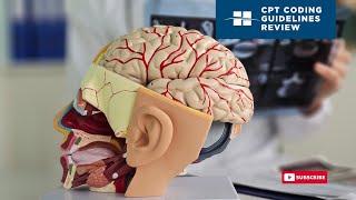 CPT Coding Guidelines Review - Diagnostic Studies of Cervicocerebral Arteries