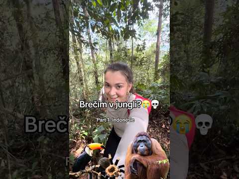 Brečím v jungli?😭🦧