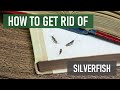 How to Get Rid of Silverfish (4 Easy Steps)