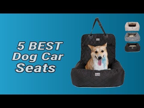 5 Best Dog Car Seats