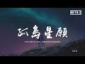 陳子晴 - 孤島星願「星光墜入眼睛你墜入我心底，還傻著許願原來你就是那顆流星」【動態歌詞/pīn yīn gē cí】