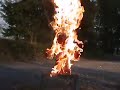 REUPLOAD Elmo Live And On Fire